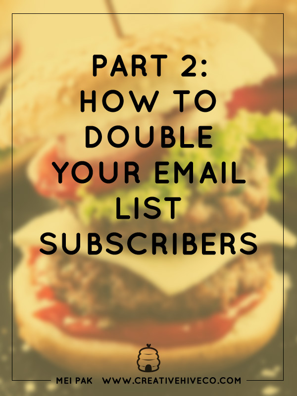 Part 2: How to double your email list subscribers