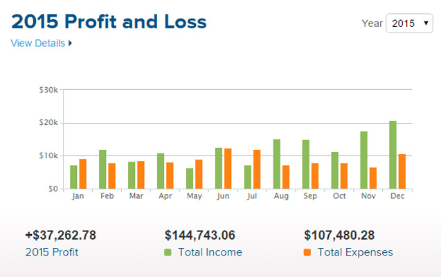 2015 Annual Income Report